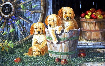 Bucket Seat, artwork, apples, painting, pups, wheel, dogs HD wallpaper