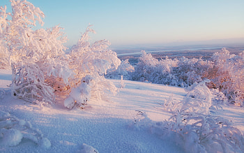 Landscape, Winter, Nature, Snow HD wallpaper