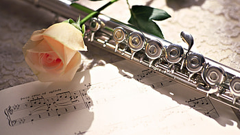Flute, Musical instrument, , Music HD wallpaper