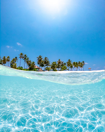 Nature, Water, Sea, Sun, Beach, Palms, Wave HD phone wallpaper