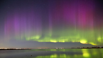 Northern Lights Autumn, northern-lights, autumn, sky, stars, nature HD wallpaper