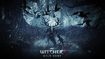 The Witcher 3 Wild Hunt Video Game, the-witcher-3, games, ps4-games, xbox-games, pc-games, artist, digital-art, artwork HD wallpaper