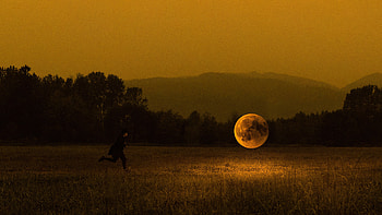 Catching The Moon , moon, graphy HD wallpaper