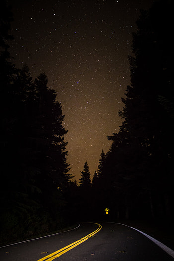 Night, Dark, Road, Forest, Starry Sky HD phone wallpaper