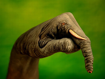 Hand Painting, cool, painting, , hand HD wallpaper