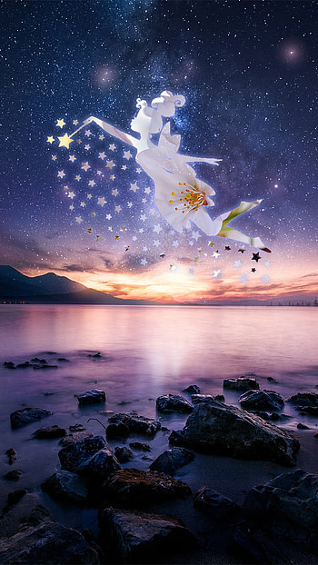calm fairy, ocean, nature, peace, stars, elf, landscape, sea, flower HD phone wallpaper