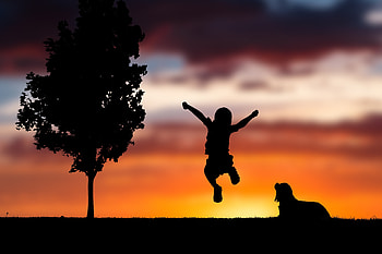 Sunset, Dark, Silhouette, Dog, Bounce, Jump, Child, Happiness HD wallpaper