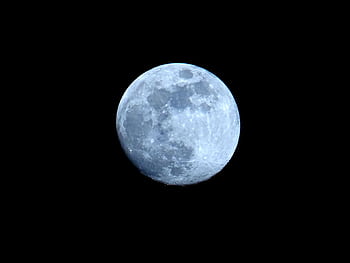 Detailed graph of the full moon against a black night sky. HD wallpaper
