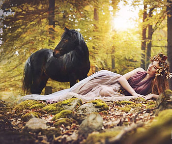 black horse, girls, horses, horse, black HD wallpaper