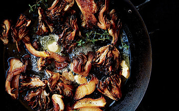 Seared mushrooms, Garlic-infused, Savory recipe, Aromatic thyme HD wallpaper