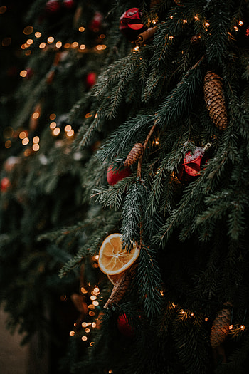 Holidays, Cones, New Year, Decorations, Christmas, Christmas Tree, Garland, Garlands HD phone wallpaper