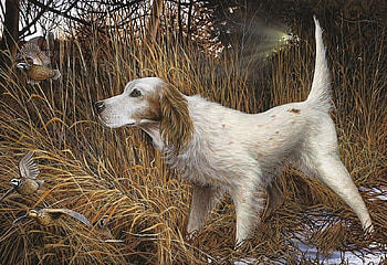 At the Hunt, dog, birds, hunt, animals HD wallpaper