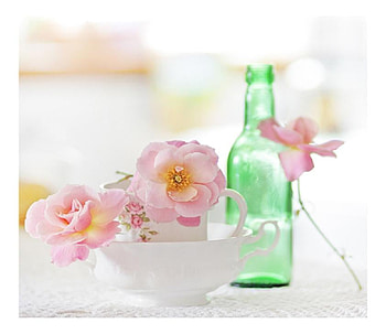 sweet morning, plants, cute, nice, bottle, rose, pretty, nature, flowers, lovely HD wallpaper