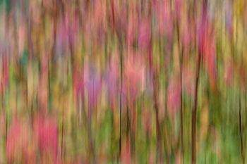 Abstract, Ripples, Ripple, Multicolored, Motley, Blur, Smooth HD wallpaper