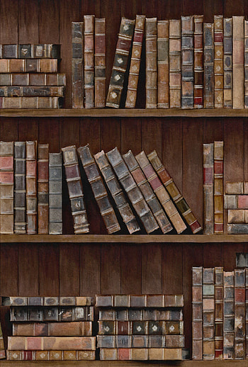 Eclectic book shelves, Hogwarts aesthetics, Brown , Mind the Gap collection HD phone wallpaper
