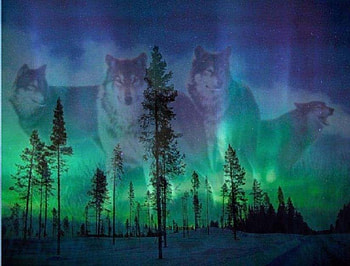 Let Us Run , abstract, wolves, fantasy, animals, trees, sky HD wallpaper