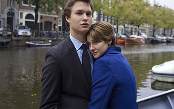The Fault in Our Stars, Stunning , Beautiful , Emotional HD wallpaper