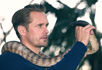 Alexander Skarsgard, Swedish actor, Snake , High resolution HD wallpaper