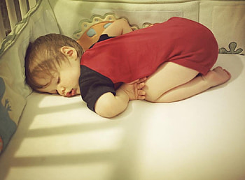 sleepy chicken, graphy, baby, funny, sleeping, nice HD wallpaper