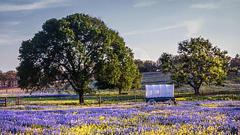 Ultimate Texas Hill Country road trip, Unforgettable travel adventure, Hidden gems, Scenic beauty HD wallpaper