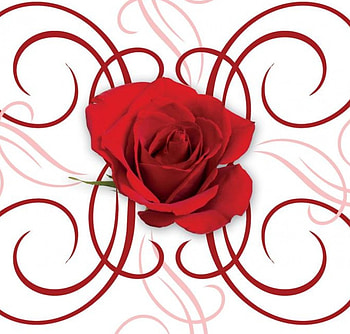 Rose, abstract, red HD wallpaper
