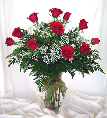 Plants, Holidays, Flowers, Roses, March 8, International Women's Day (Iwd) HD phone wallpaper