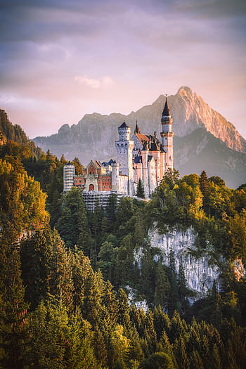 Stunning view of Neuschwanstein Castle surrounded by autumnal forest and mountains at sunset. HD phone wallpaper