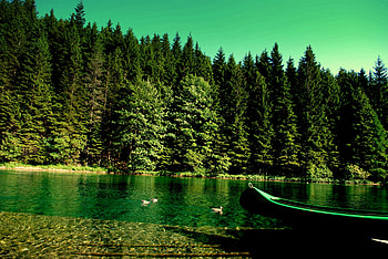 Nature, Rivers, Forest, Boat HD wallpaper