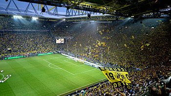 FM19 Borussia Dortmund, Die Schwarzgelben, Football HD wallpaper