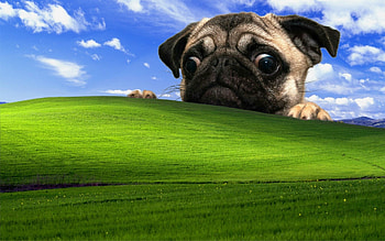 Windows Background: Old Windows Background, Classic Windows HD wallpaper