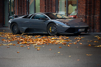Lamborghini Murcielago SV, sv, car, lambo, lamborghini, murcielago HD wallpaper