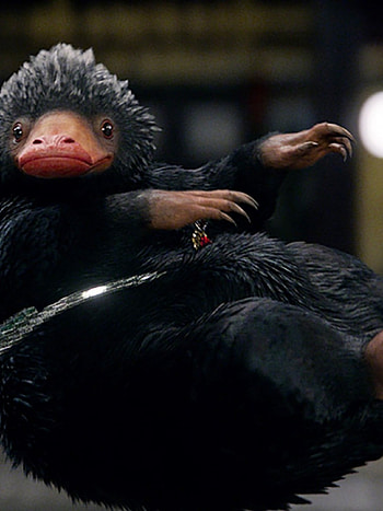 Niffler, Fantastic Beasts, Harry Potter movie, Magical creature HD phone wallpaper