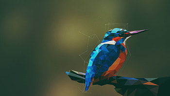 Geometric Animal, Animals birds kingfisher, Low poly geometry, Digital art HD wallpaper