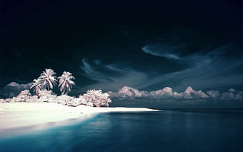 Nature, Sea, Palms, Snow, Shore, Bank HD wallpaper