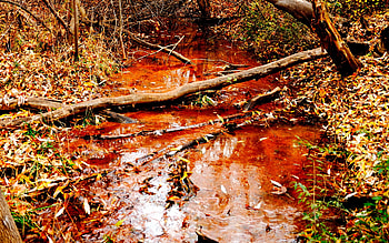 Autumn, forests, nature, rivers HD wallpaper