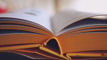 Detailed close-up of an open book with yellow pages, emphasizing learning and knowledge. HD wallpaper
