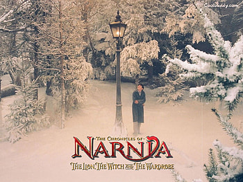 The Chronicles of Narnia, wardrobe, movie, lion, narnia, witch HD wallpaper
