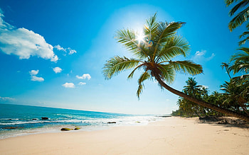Caribbean islands, Tropical beauty, Paradise escape, Caribbean dreams HD wallpaper