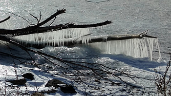 Frigid February Day, Ice, Ice Coated, February, Snow, Tree, Frigid, Cold, lake HD wallpaper