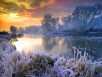 Winter lake, winter, trees, lake, snow HD wallpaper