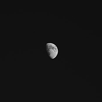 Night, Moon, Shadow HD phone wallpaper