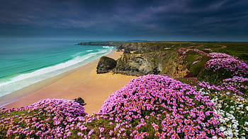 Celtic Sea, Cornwall, England, blossoms, shore, clouds, landscape, flowers, rocks, dark HD wallpaper
