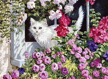 Fluffy White Kitten - Cat F, kitten, animal, art, cats, feline, beautiful, artwork, wide screen, painting, pets, flowers HD wallpaper