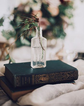 Miscellanea, Miscellaneous, Branches, Bouquet, Vase, Book, Bottle HD phone wallpaper