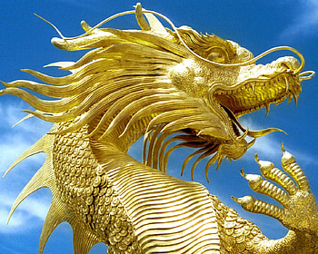 golden dragon, golden, dragon, fantasy HD wallpaper