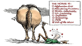 Failure, list, horse, biden HD wallpaper