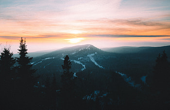 Landscape, Nature, Sunset, Mountains, Twilight, Forest, Fog, Dusk HD wallpaper