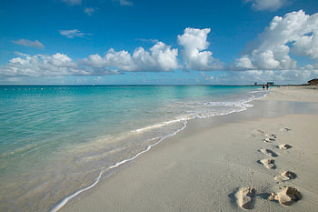 Aruba Island, One happy island, Tropical delight, Caribbean charm HD wallpaper