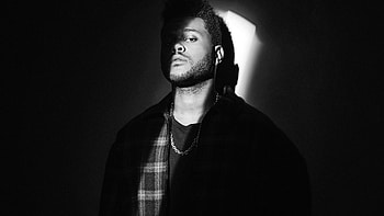 The Weeknd XO monochrome , Music aesthetic, Singer tribute, Black and white HD wallpaper