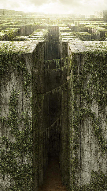 Maze (Other), Eye-catching Maze Runner poster, The Maze Runner HD phone wallpaper